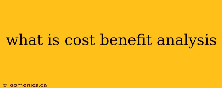 what is cost benefit analysis