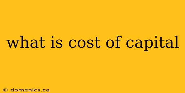 what is cost of capital