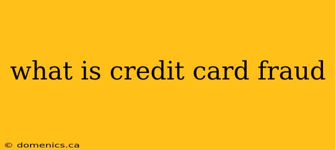 what is credit card fraud