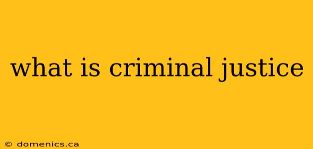 what is criminal justice