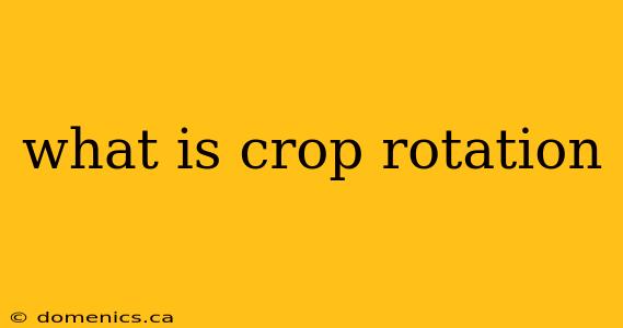 what is crop rotation