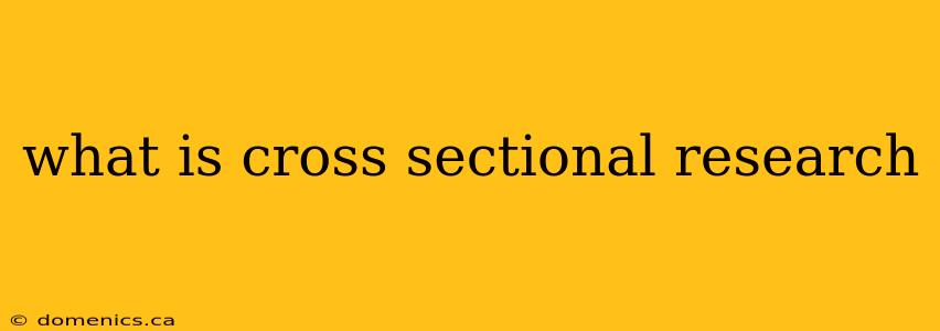 what is cross sectional research