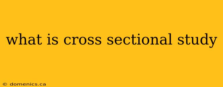 what is cross sectional study