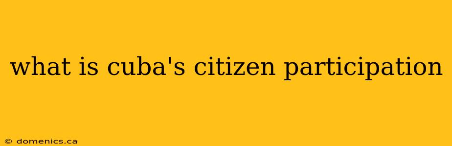 what is cuba's citizen participation