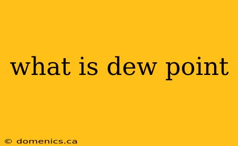 what is dew point
