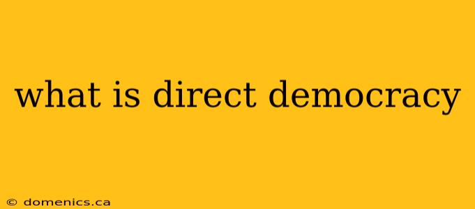 what is direct democracy