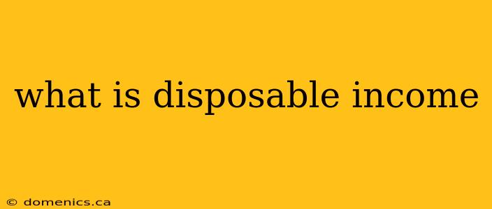 what is disposable income