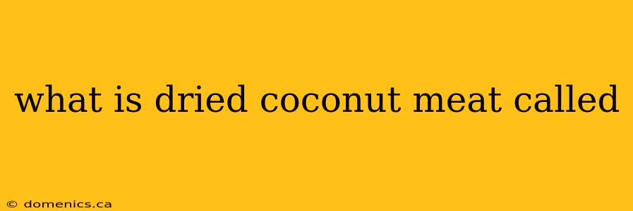 what is dried coconut meat called