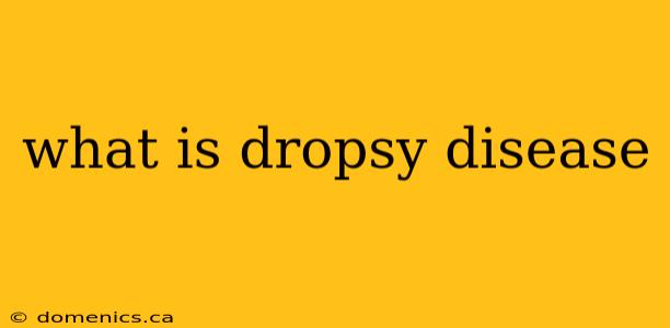 what is dropsy disease