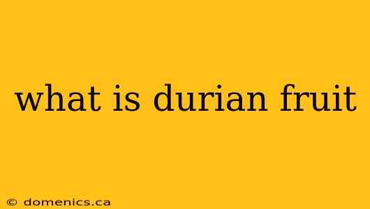 what is durian fruit