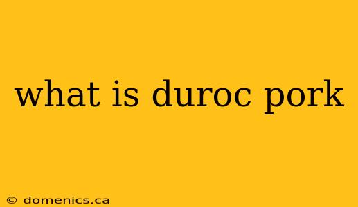 what is duroc pork