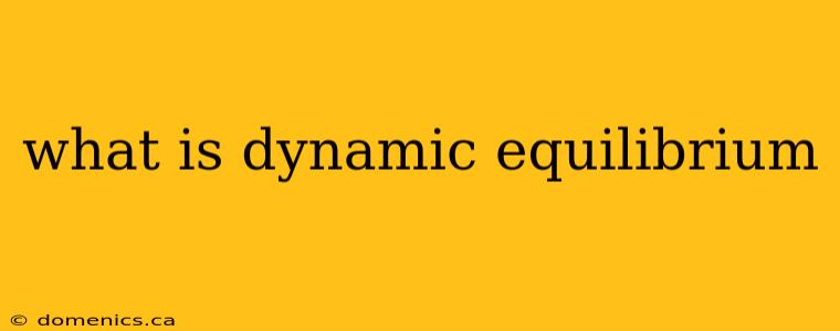 what is dynamic equilibrium