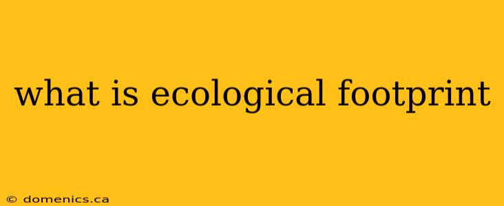 what is ecological footprint