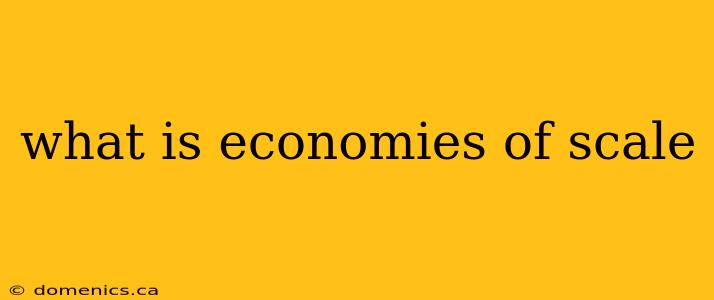 what is economies of scale