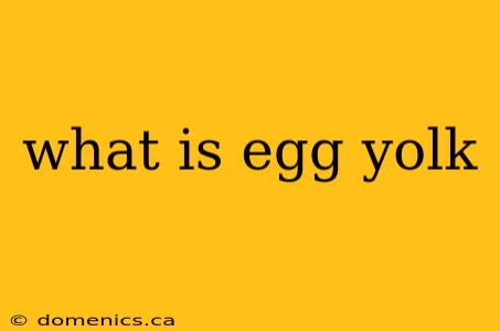 what is egg yolk