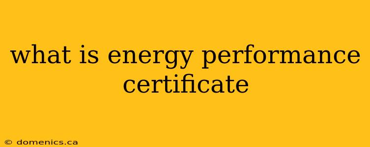 what is energy performance certificate