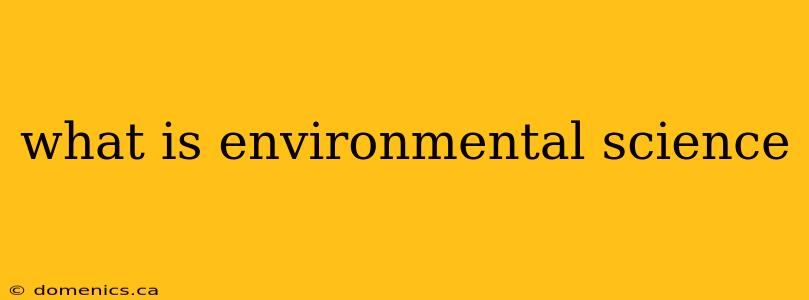 what is environmental science