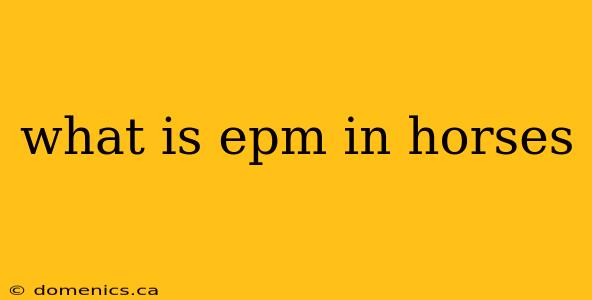 what is epm in horses