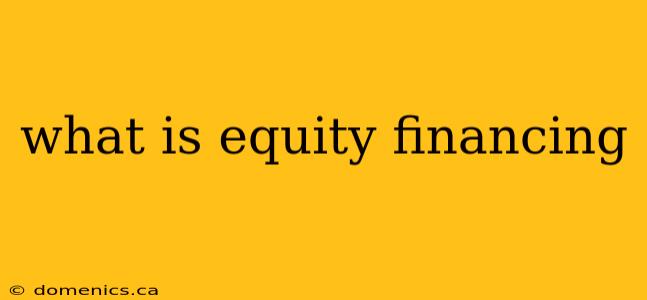 what is equity financing