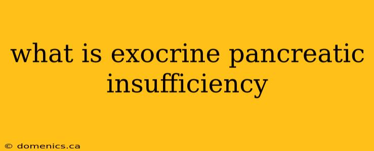 what is exocrine pancreatic insufficiency