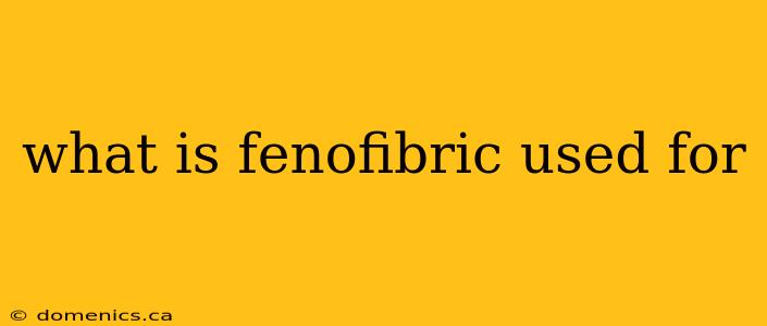 what is fenofibric used for