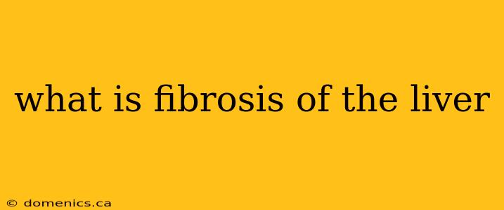 what is fibrosis of the liver