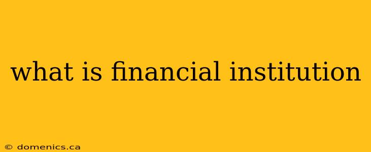 what is financial institution