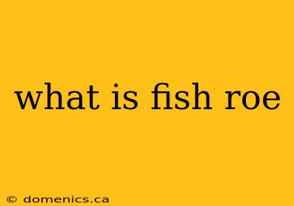 what is fish roe