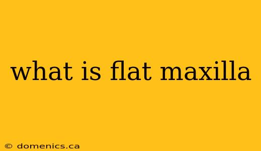 what is flat maxilla