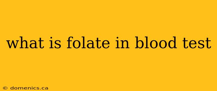 what is folate in blood test