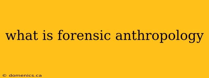 what is forensic anthropology