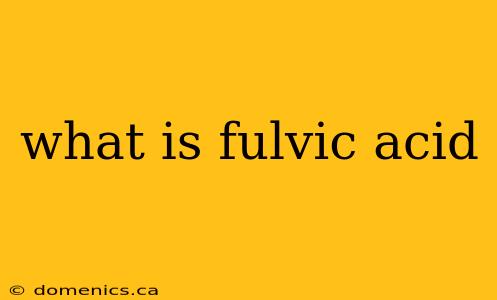 what is fulvic acid