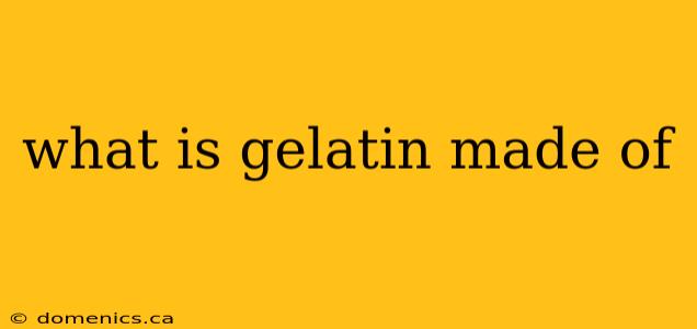 what is gelatin made of