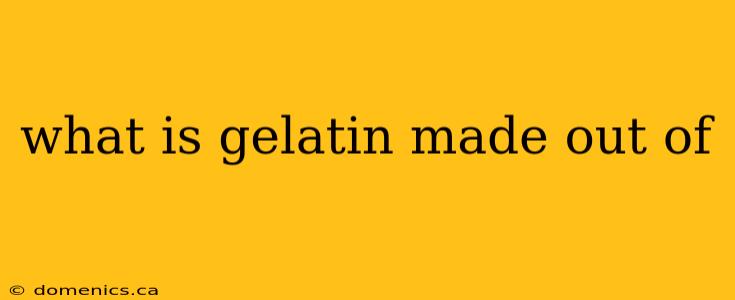 what is gelatin made out of