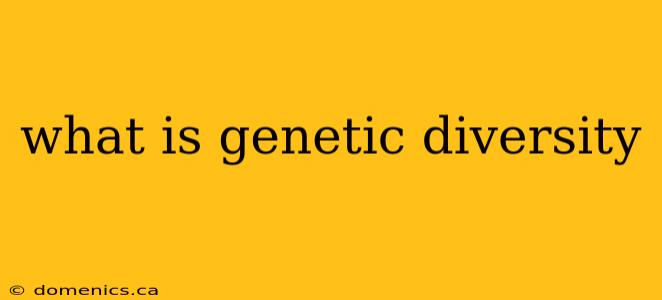 what is genetic diversity