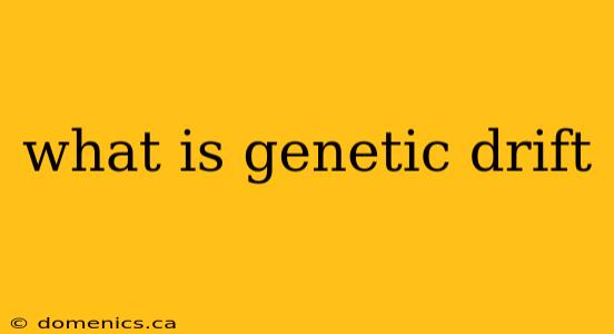 what is genetic drift