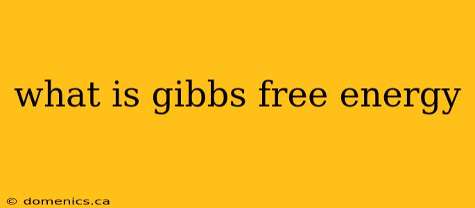 what is gibbs free energy