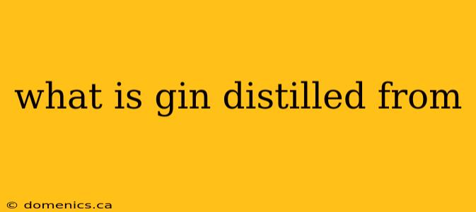 what is gin distilled from