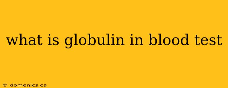 what is globulin in blood test