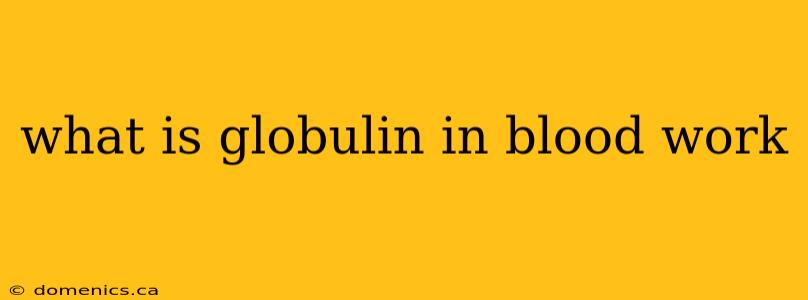 what is globulin in blood work