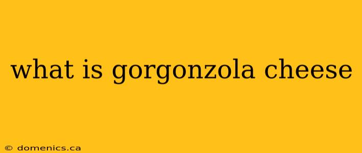 what is gorgonzola cheese