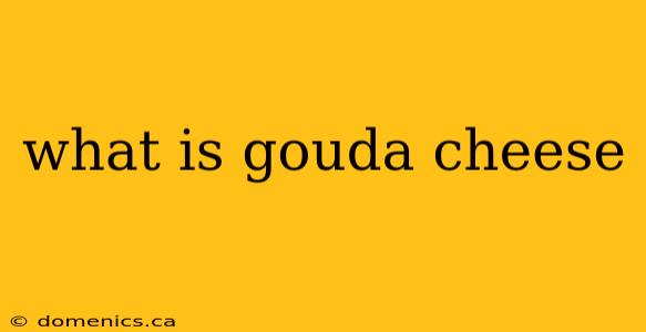 what is gouda cheese