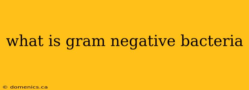 what is gram negative bacteria