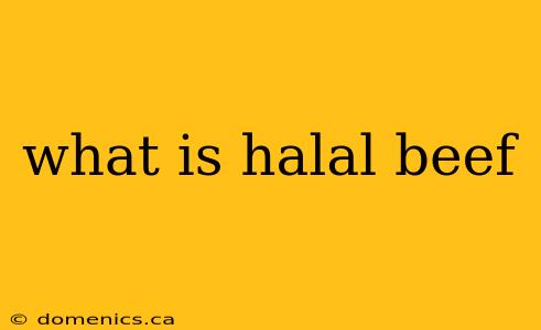 what is halal beef