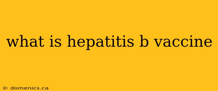 what is hepatitis b vaccine