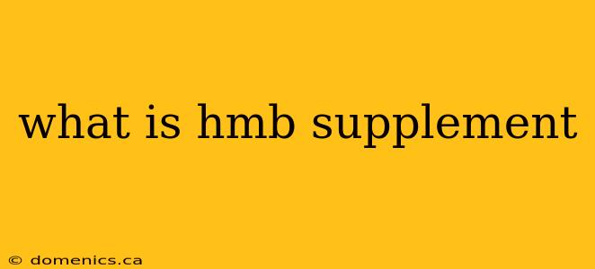 what is hmb supplement