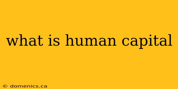 what is human capital