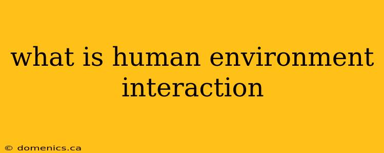 what is human environment interaction