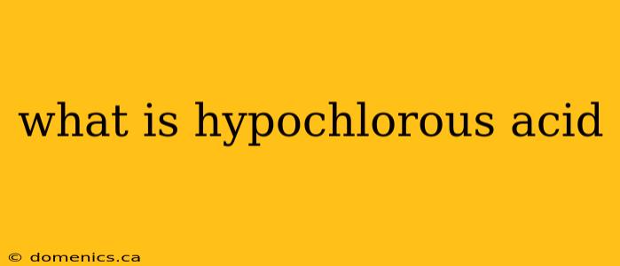 what is hypochlorous acid