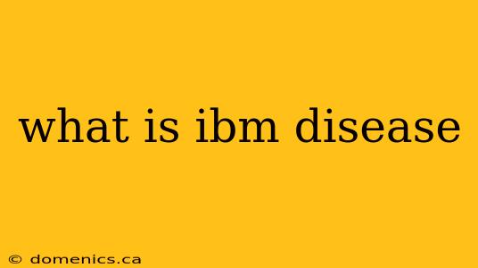 what is ibm disease